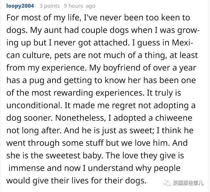 “铲屎官愿意把自己的5年寿命分给狗狗吗？”这个网友的回答看哭了…