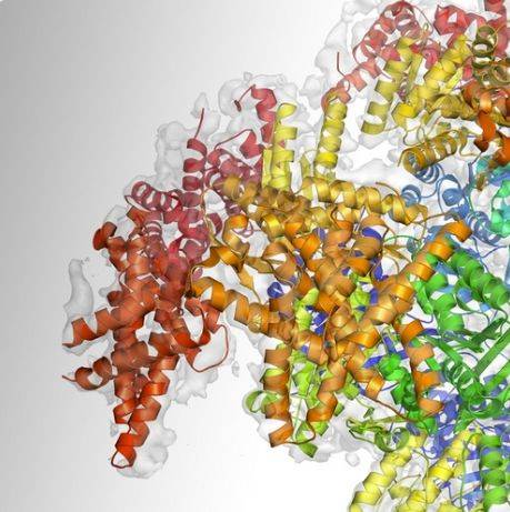 揭密新冠病毒如何攻破人体细胞大门，西湖大学研究登上Science封面