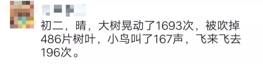 没想到，这群外国人也被宅家隔离逼疯了！花式遛狗、创意带娃、阳台音乐会....N种方式拒绝无聊！