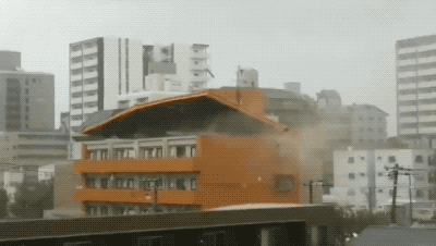 微信图片_20180919094846.gif
