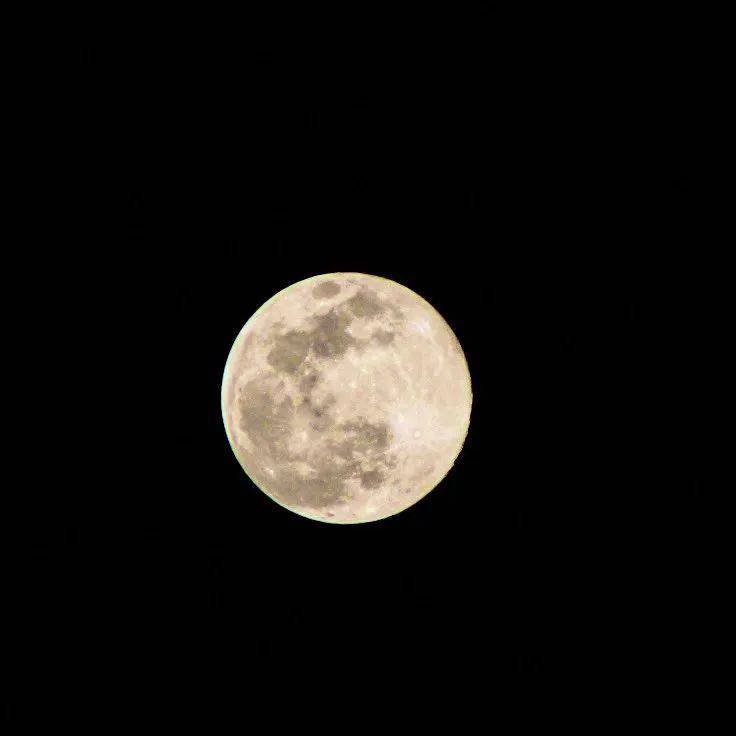 惊艳！昨晚，百年难见的“超级月亮”再现澳洲夜空！最全高清美图！看过的人都有好运～