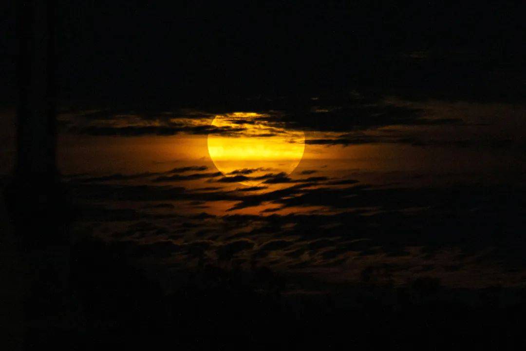 惊艳！昨晚，百年难见的“超级月亮”再现澳洲夜空！最全高清美图！看过的人都有好运～